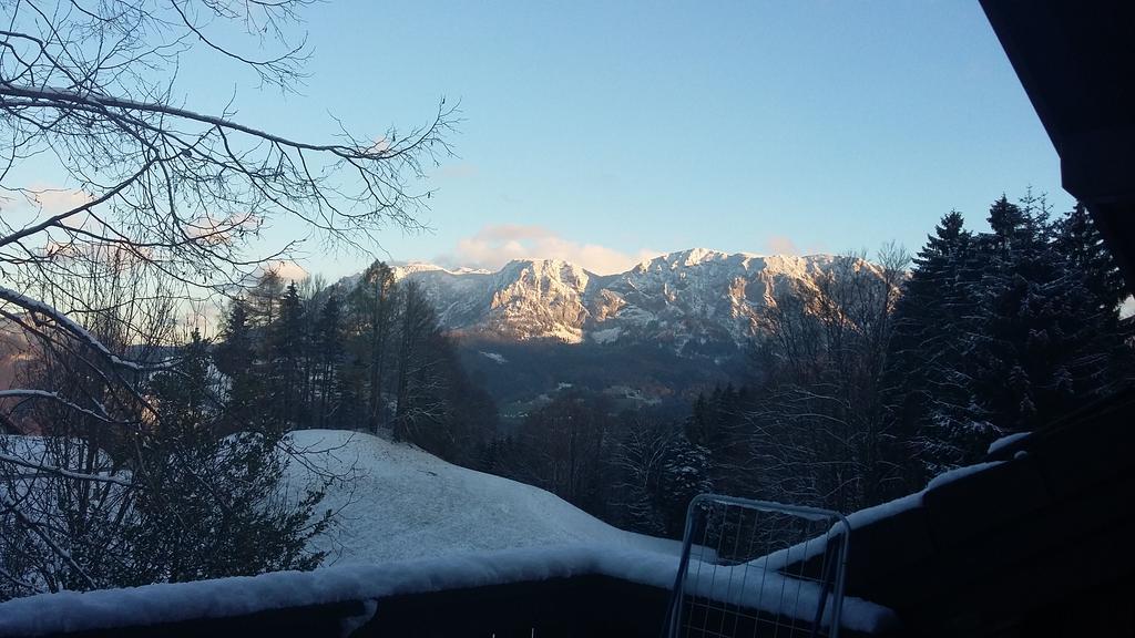 Bauernhof Familie Knoblechner * Nussdorf am Attersee