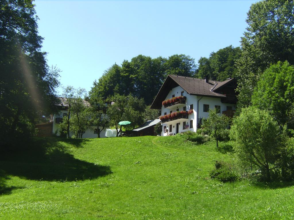 Bauernhof Familie Knoblechner *