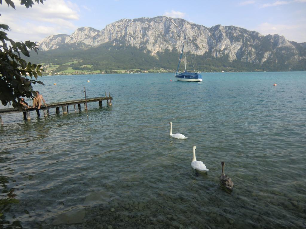 Bauernhof Familie Knoblechner Farm stay Nussdorf am Attersee