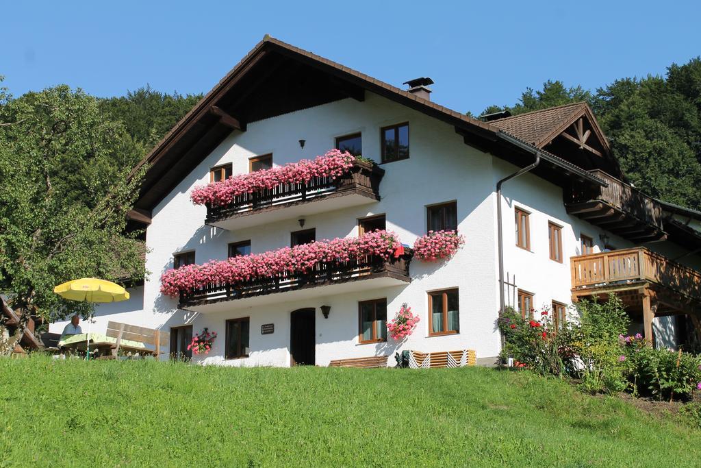 Bauernhof Familie Knoblechner Farm stay Nussdorf am Attersee